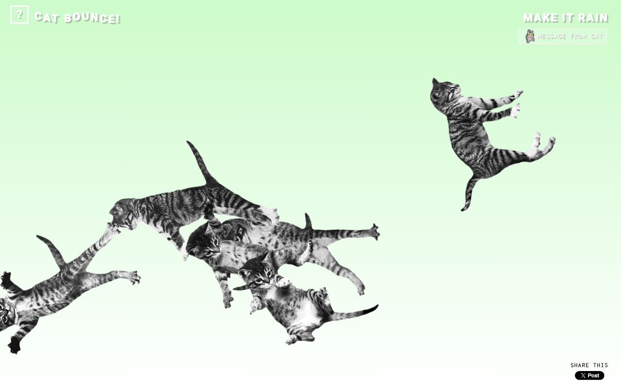Cat Bounce