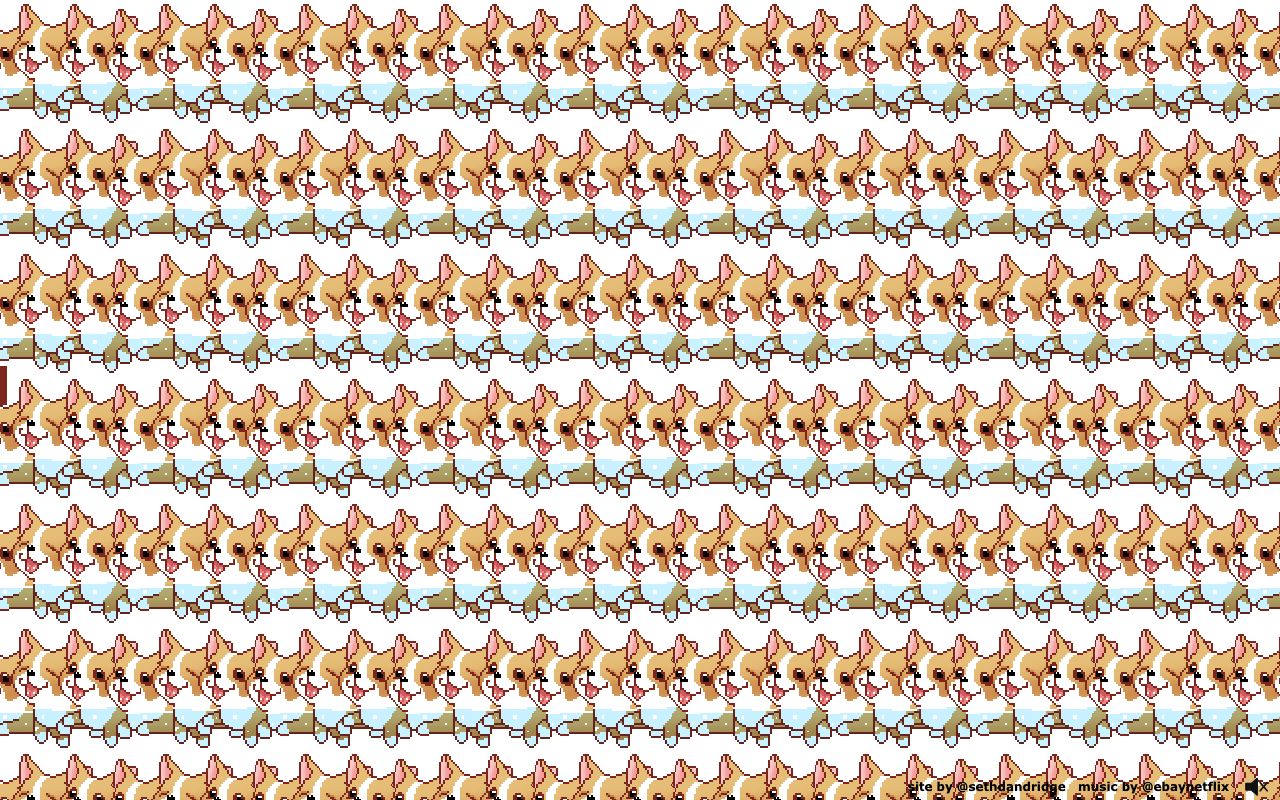 Corgi Orgy