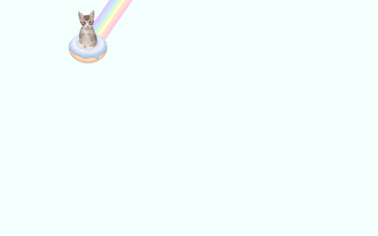 Doughnut Kitten