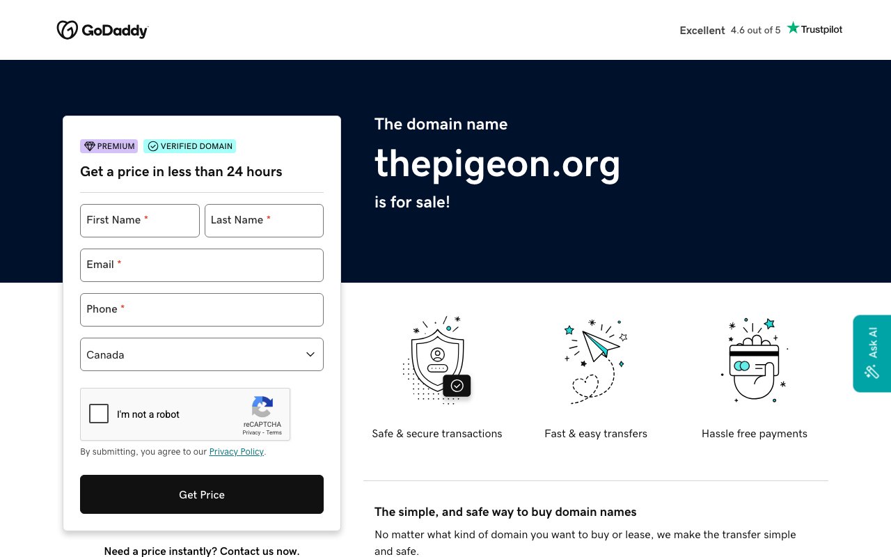 The Pigeon